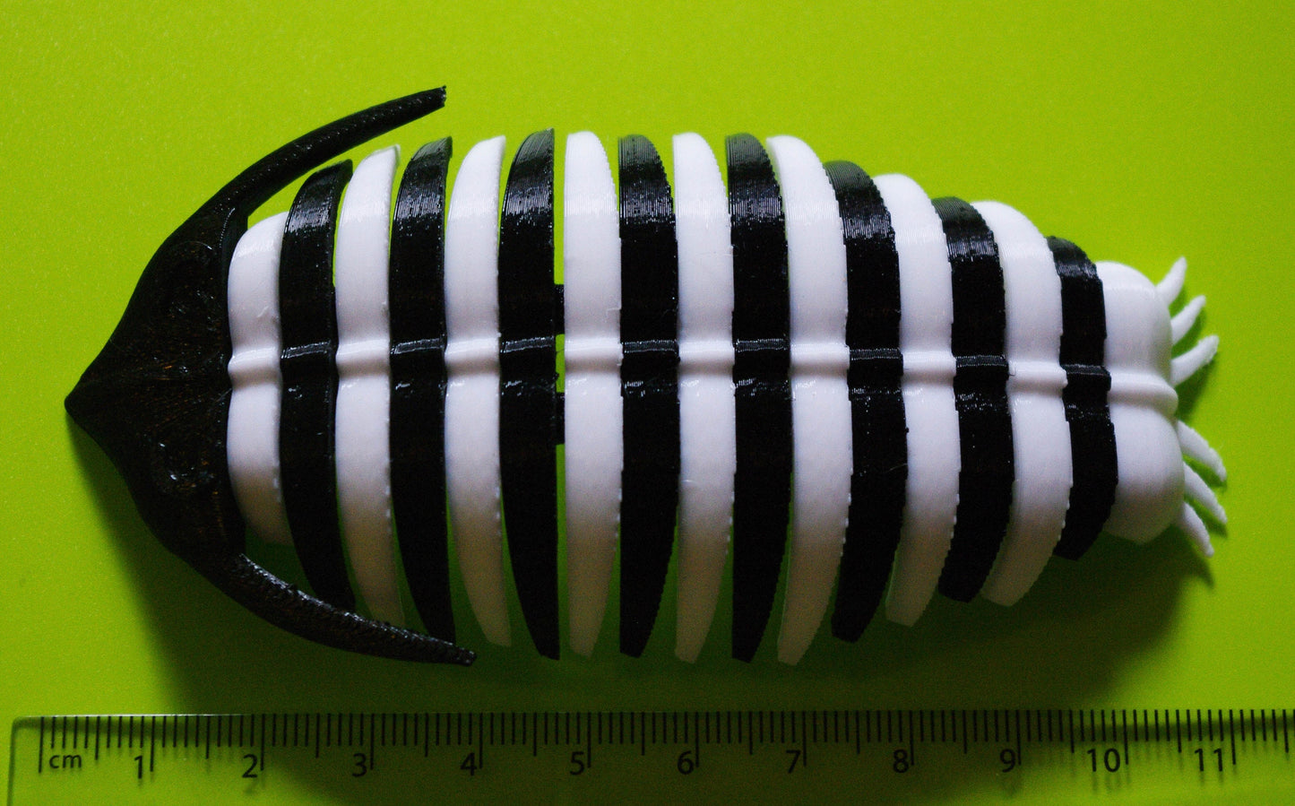 Trilobite 3d printed flexible prehistoric creature quick dispatch from UK seller!