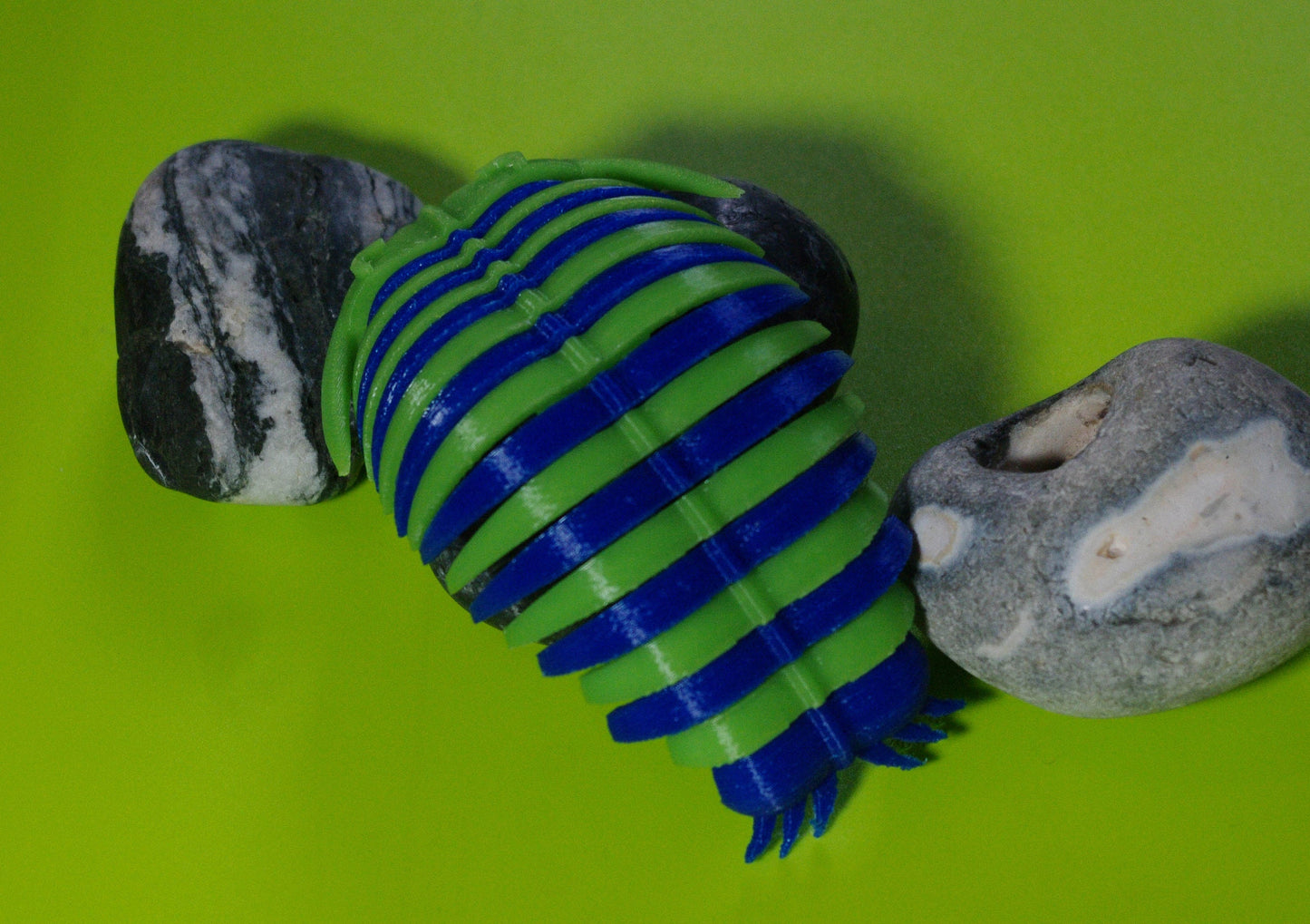 Trilobite 3d printed flexible prehistoric creature quick dispatch from UK seller!