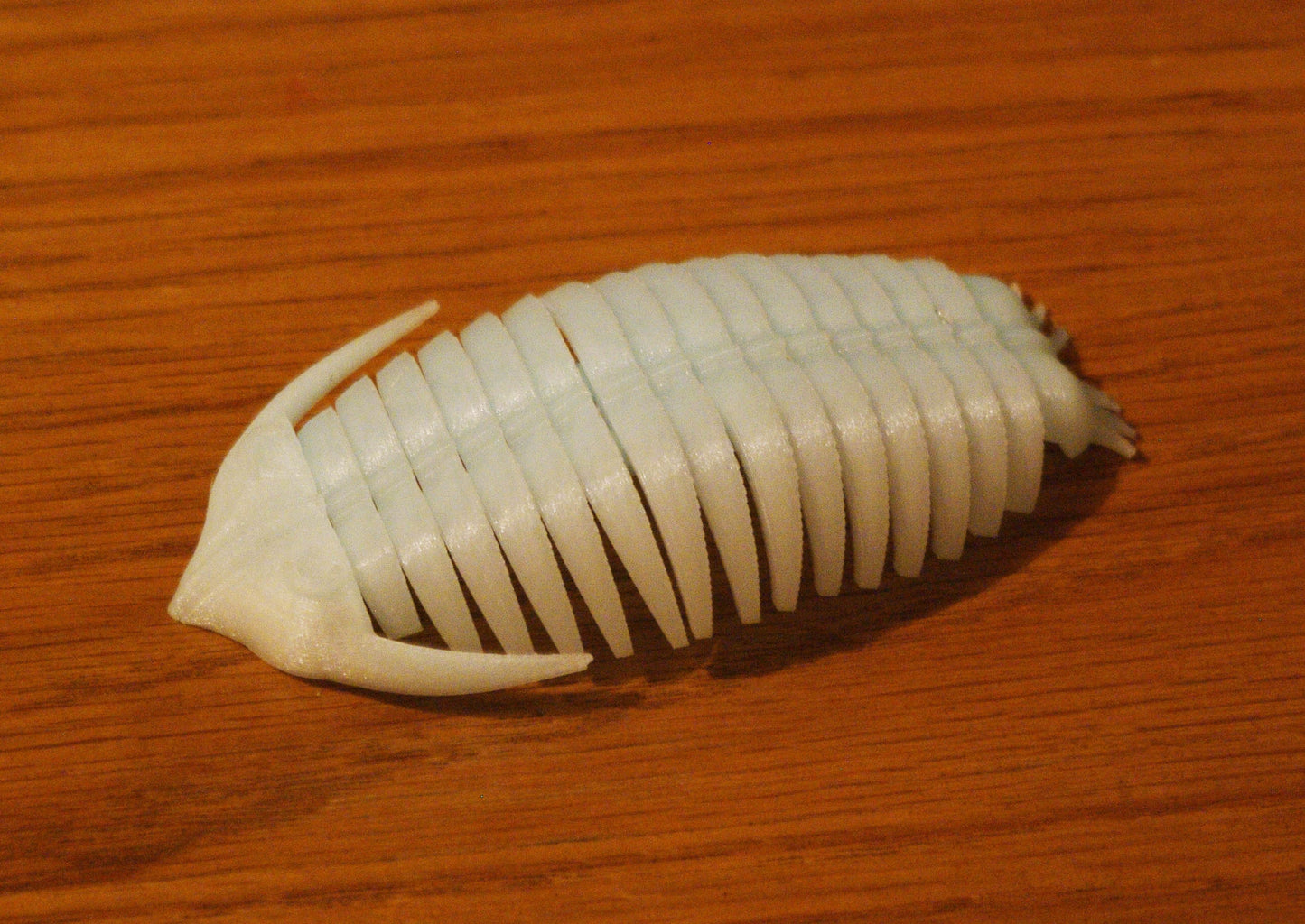 Glow in the dark Trilobite model 3d printed quick dispatch from the UK!