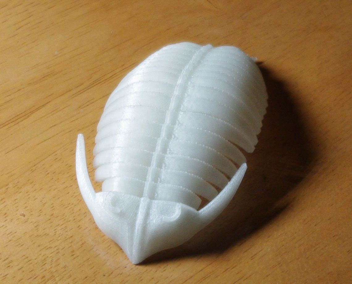 Glow in the dark Trilobite model 3d printed quick dispatch from the UK!