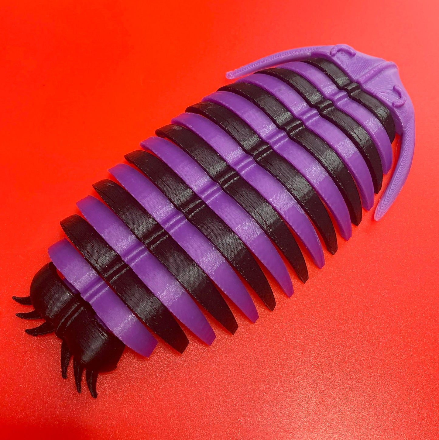 Trilobite 3d printed flexible prehistoric creature quick dispatch from UK seller!