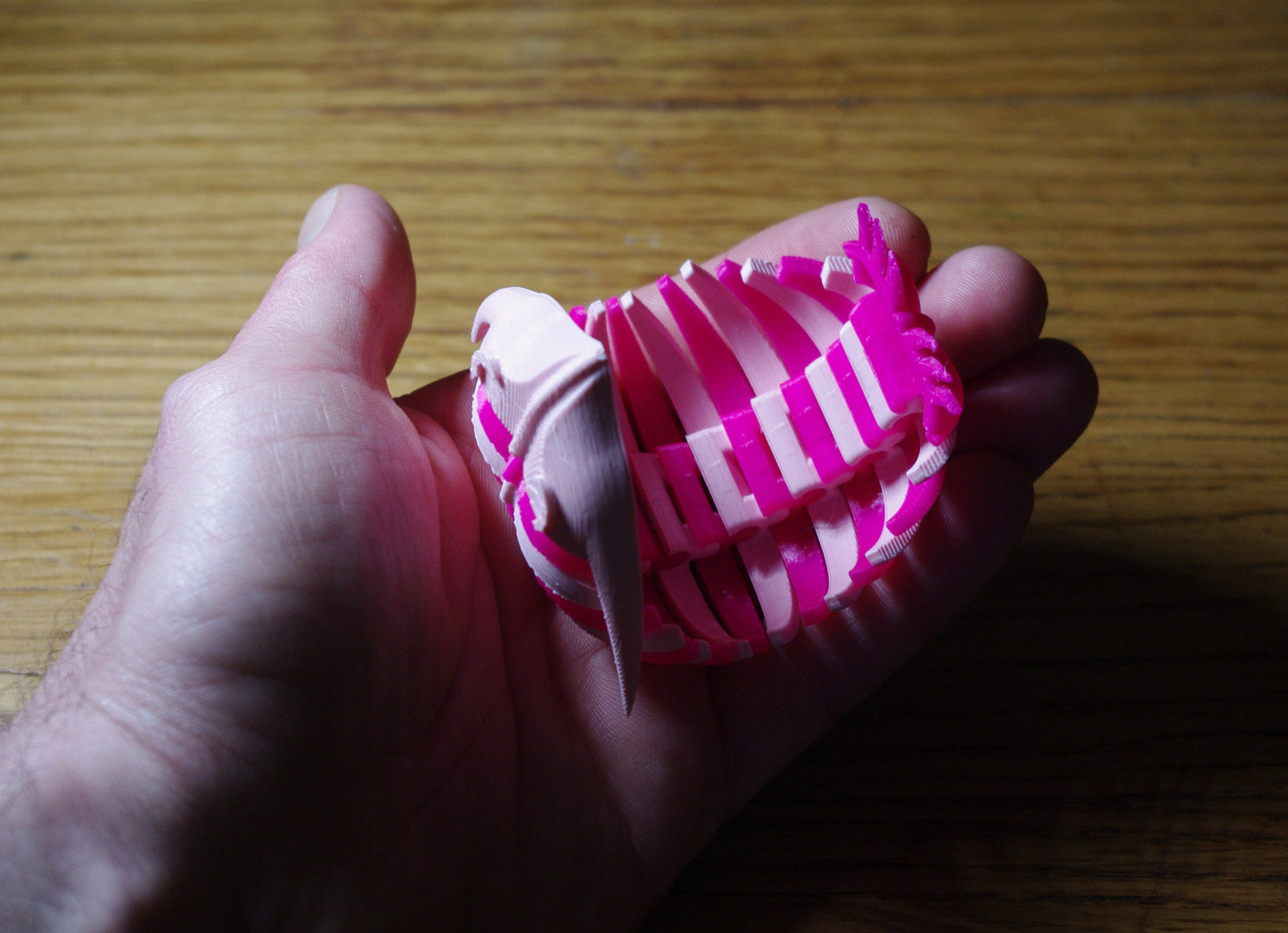 Trilobite 3d printed flexible prehistoric creature quick dispatch from UK seller!
